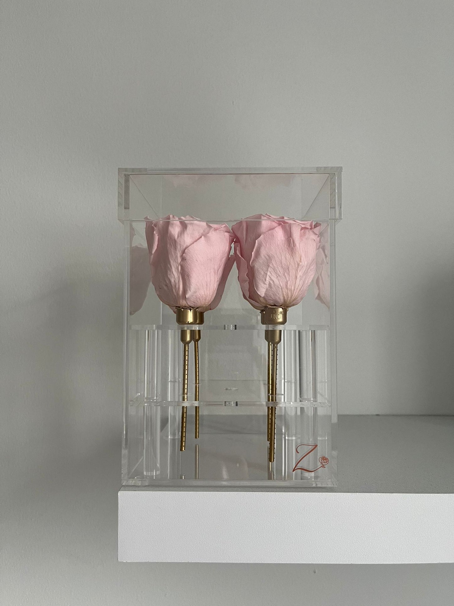 Elyanna –  4 Roses