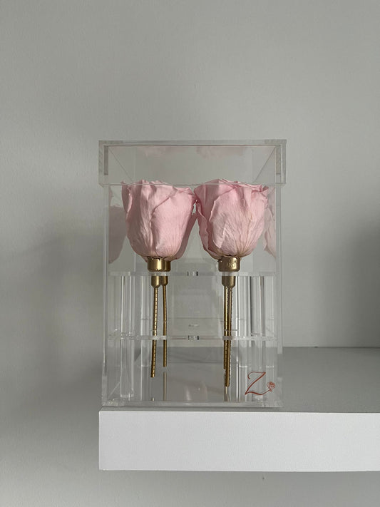 Elyanna –  4 Roses