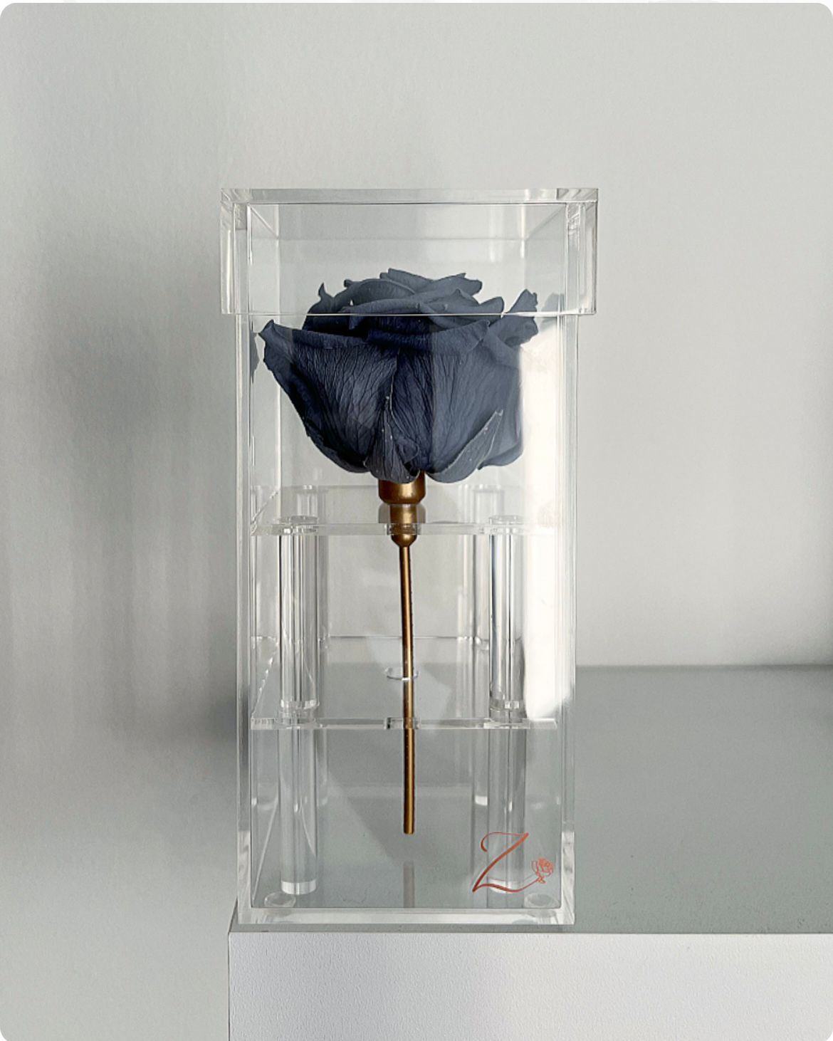 Preserved Livia rose with a gold stem in a clear acrylic box, perfect luxury gift for anniversaries and home decor.