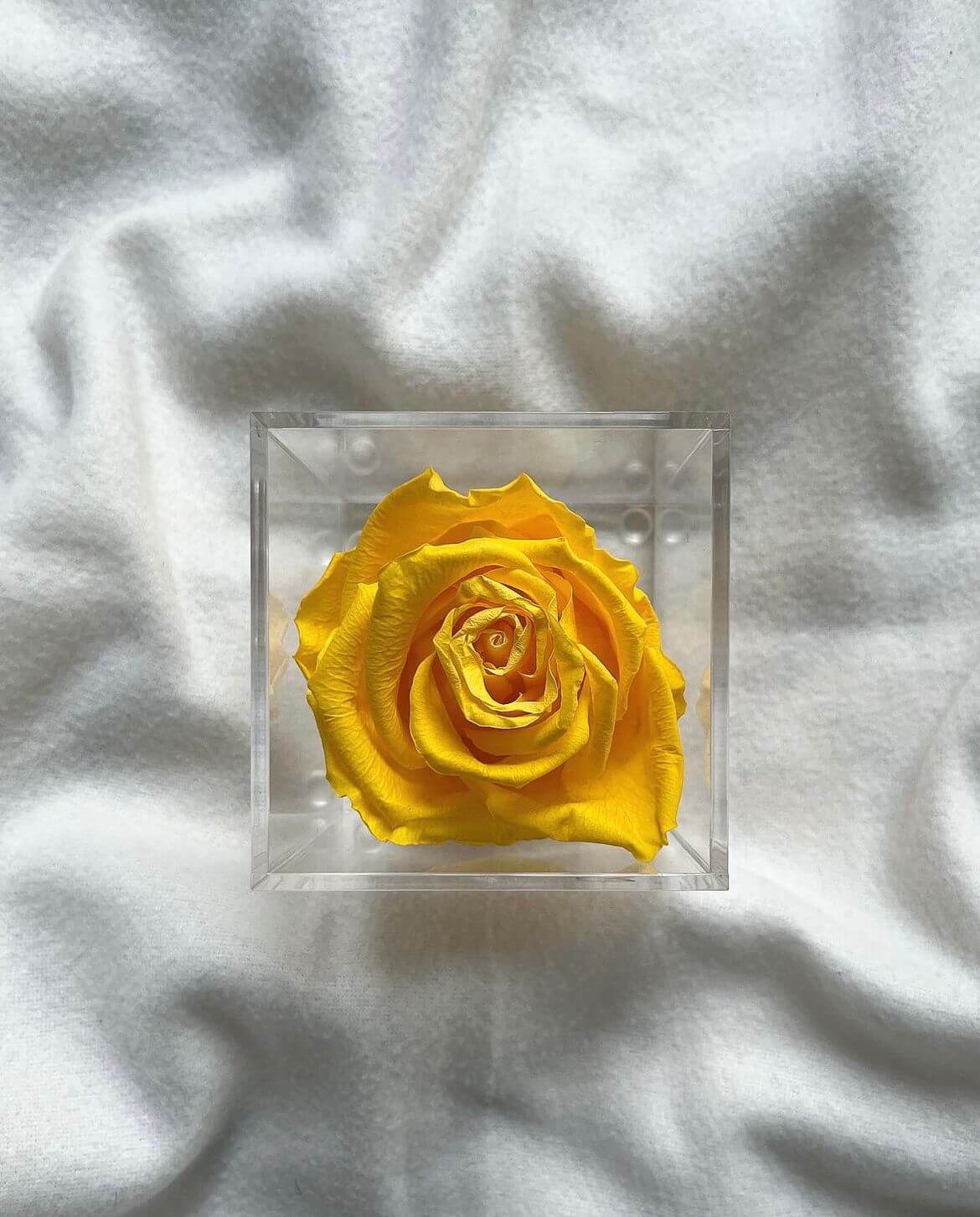 La Soltera – 1 single eternal rose