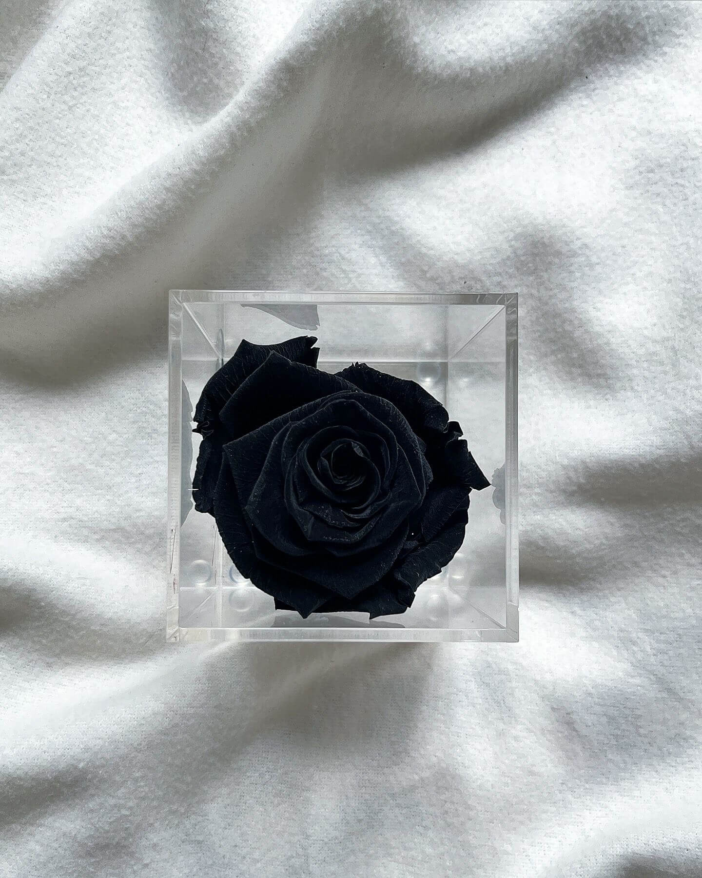 La Soltera – 1 single eternal rose