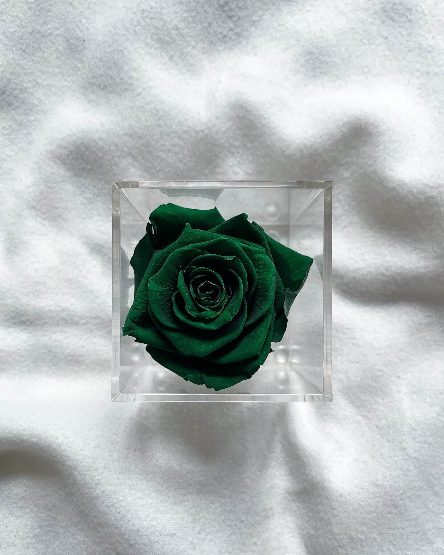 La Soltera – 1 single eternal rose