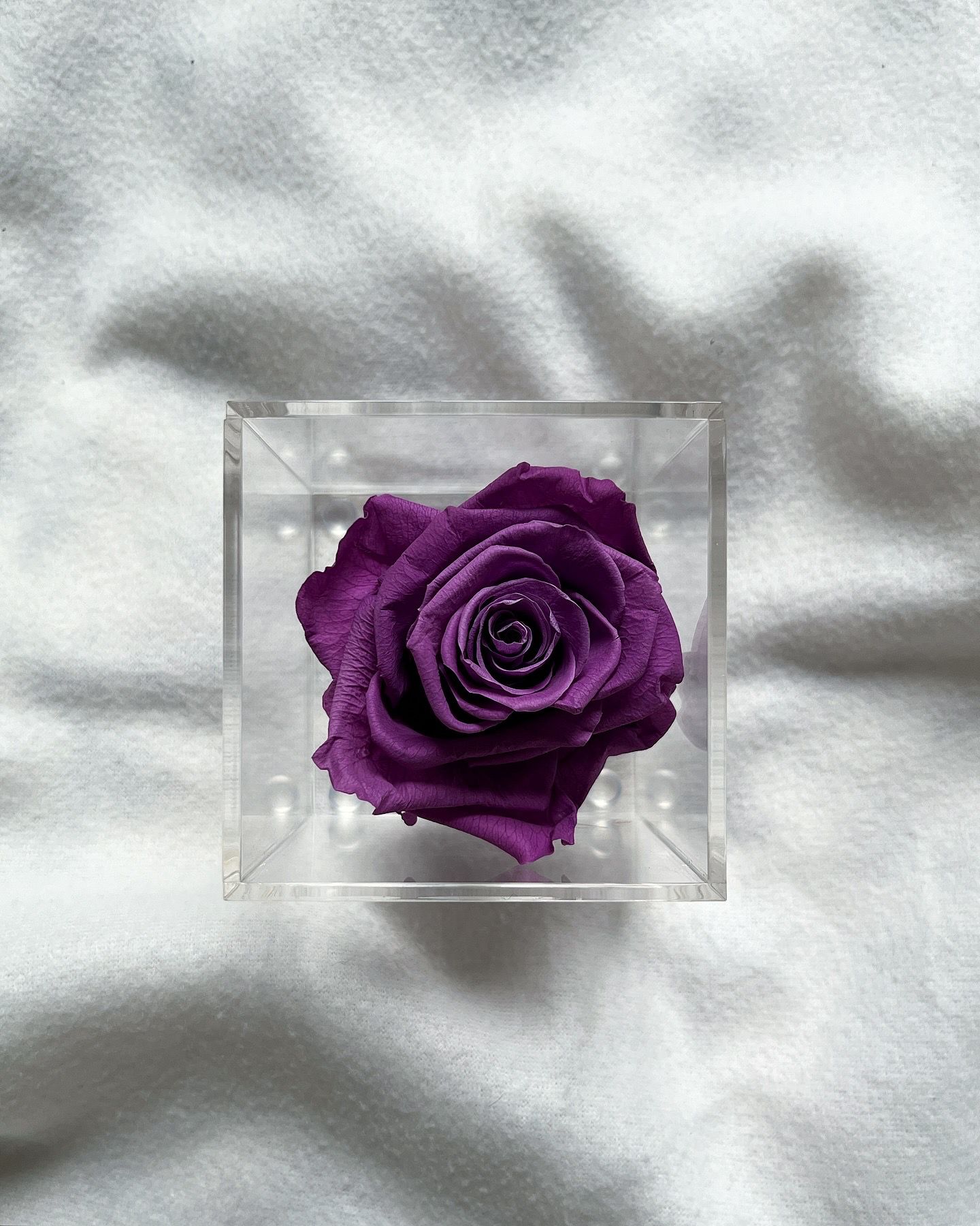 La Soltera – 1 single eternal rose