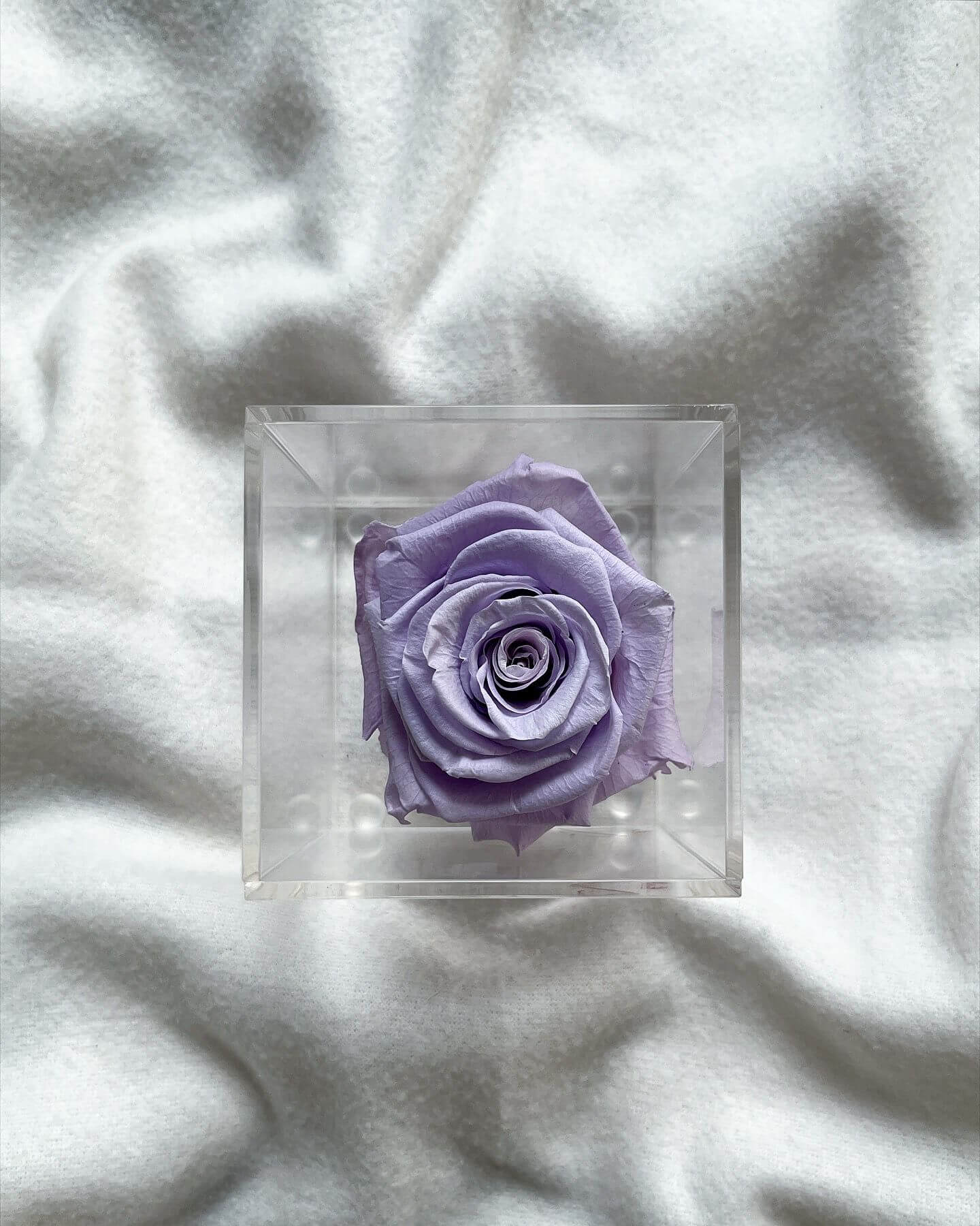 La Soltera – 1 single eternal rose