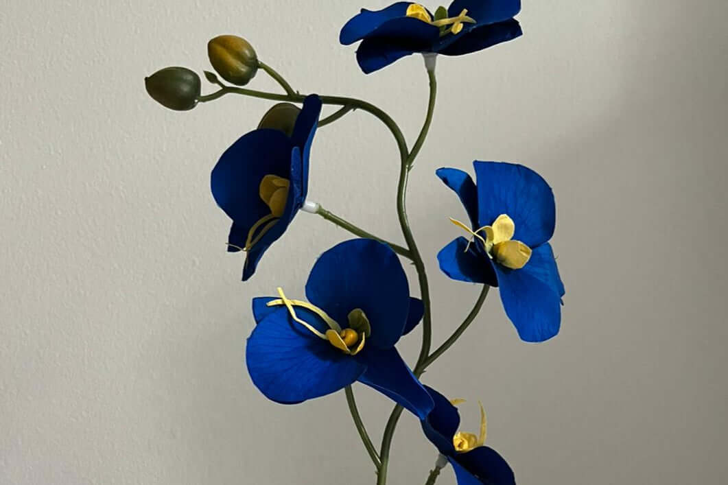 Katalyna – Luxurious Orchids Dome