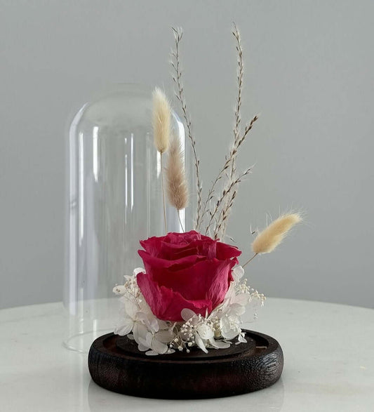 Elegant preserved rose in a glass dome, perfect for #homedecor and #romanticGifts