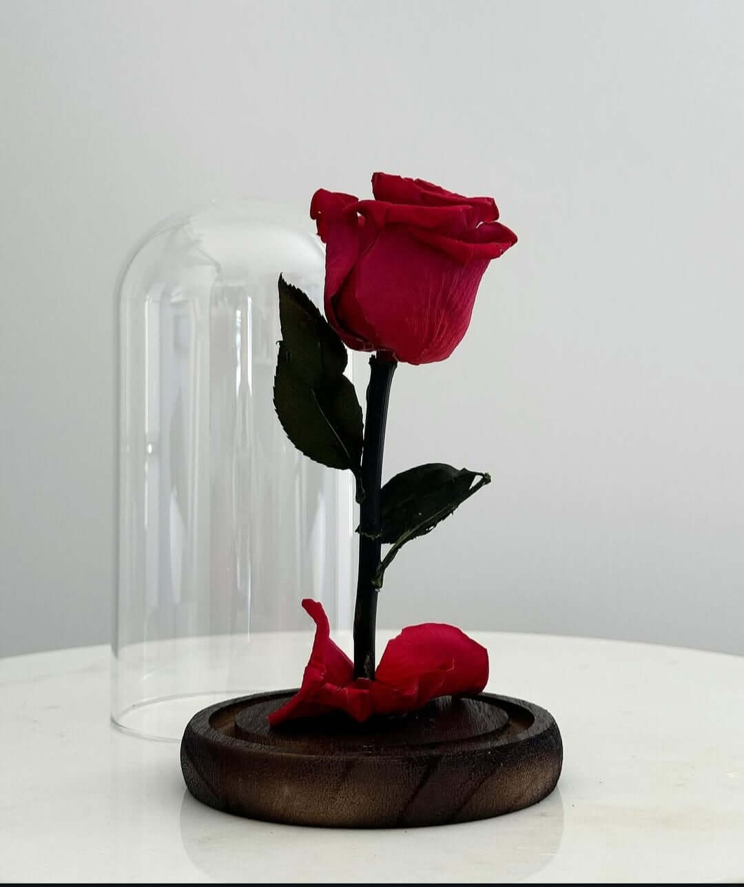 Beauty & The beast - Small