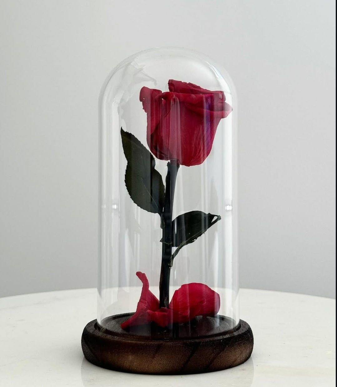 Beauty & The beast - Small