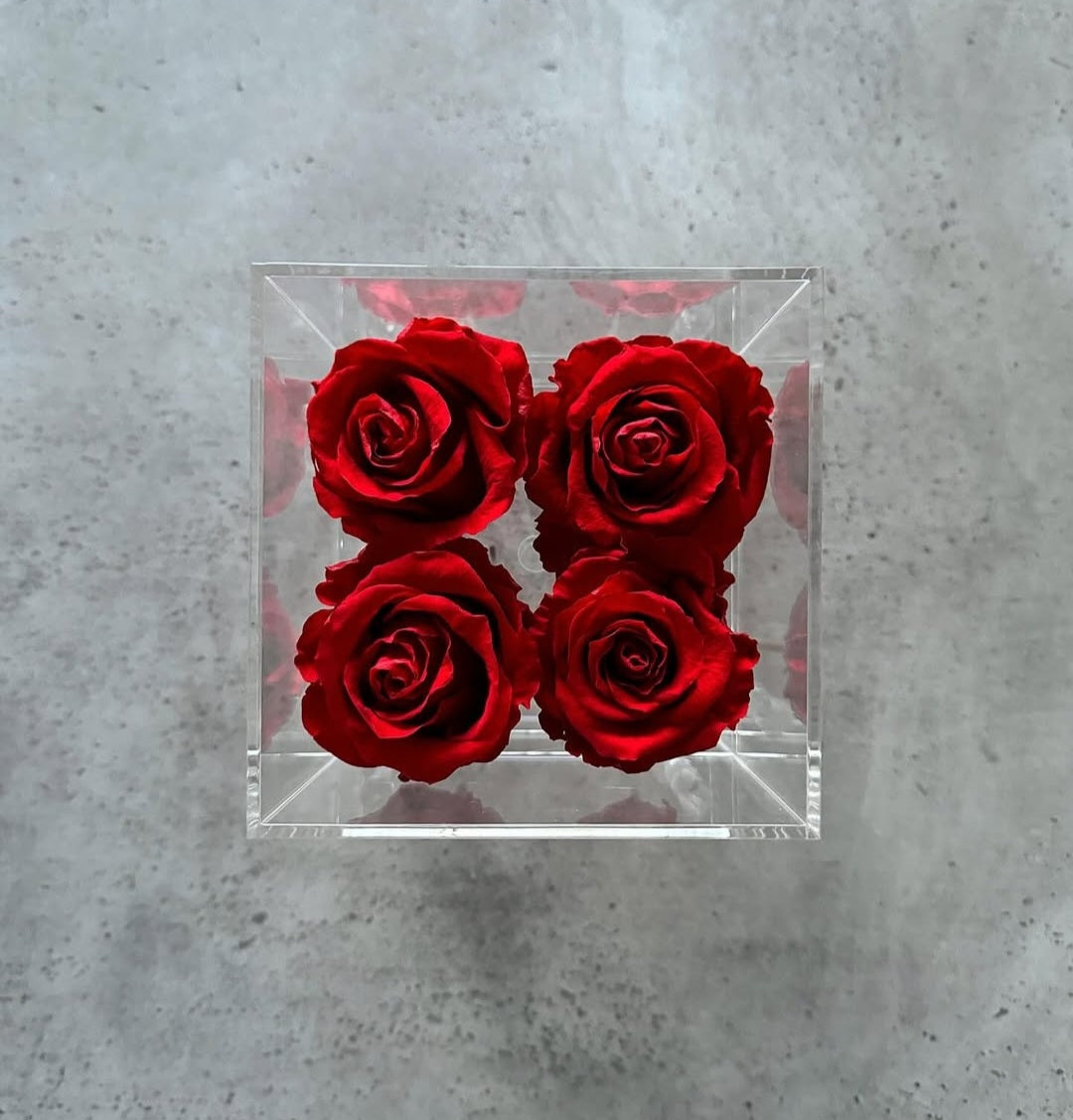 Elyanna –  4 Roses