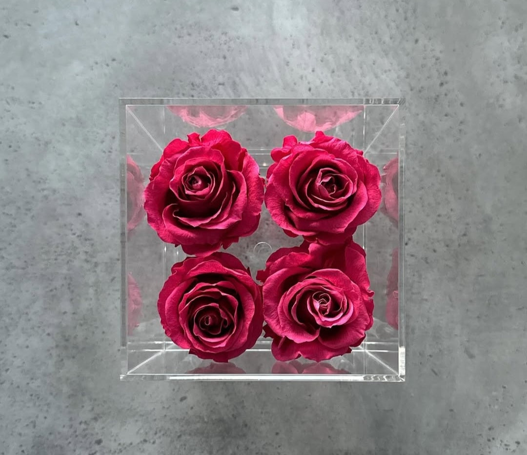 Elyanna –  4 Roses