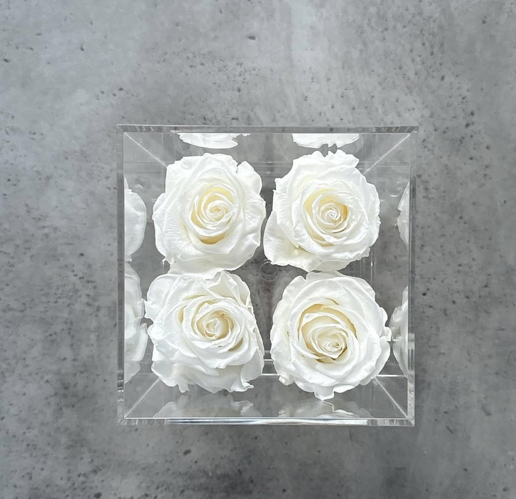 Elyanna –  4 Roses