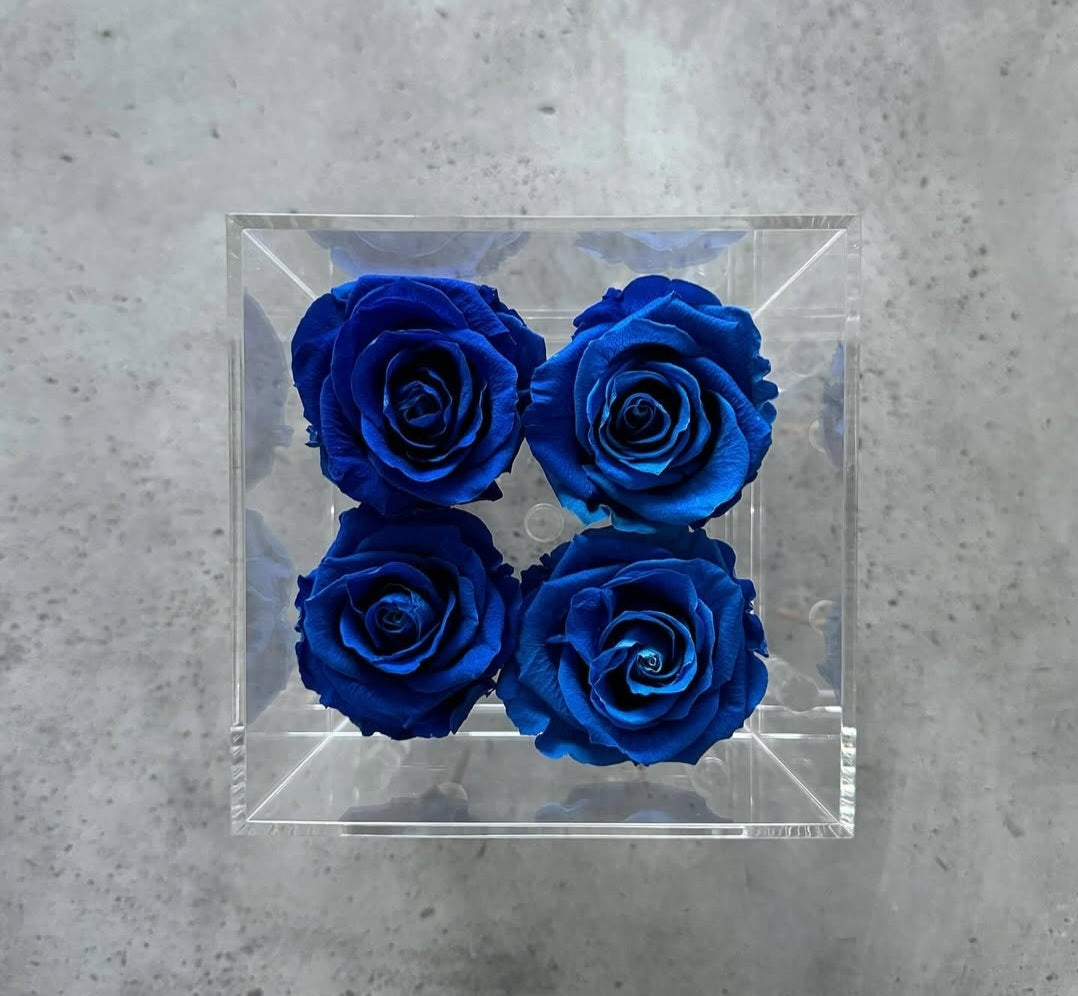 Elyanna –  4 Roses