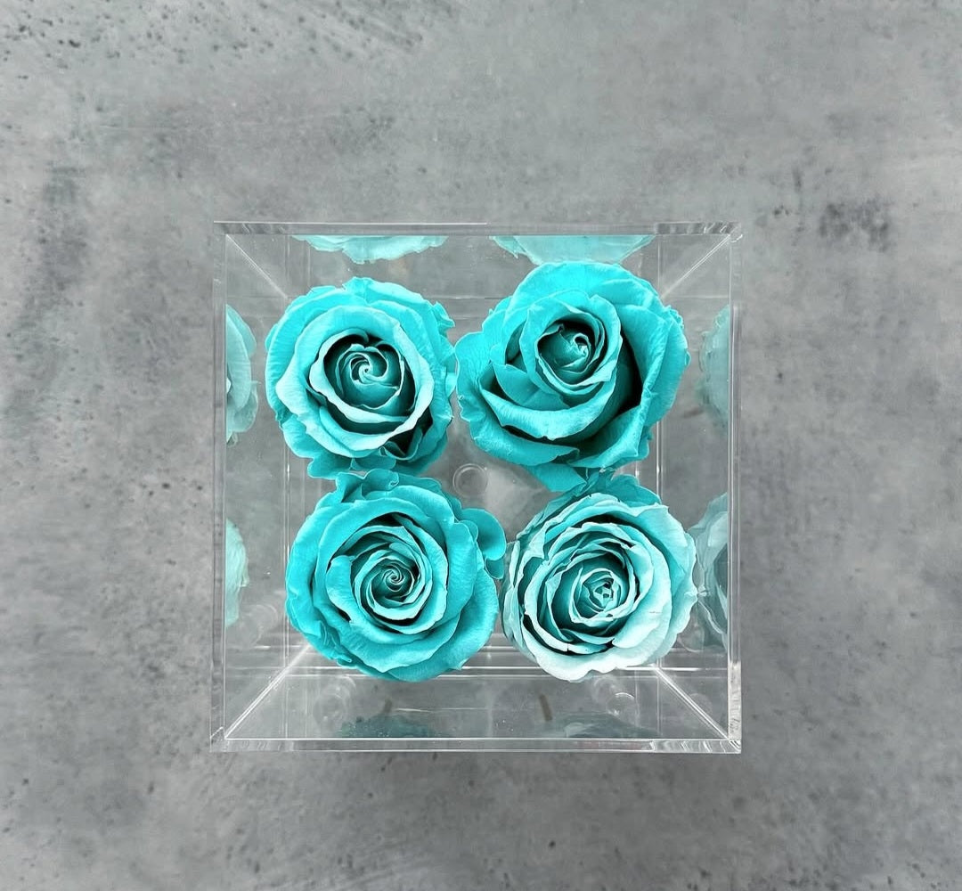 Elyanna –  4 Roses