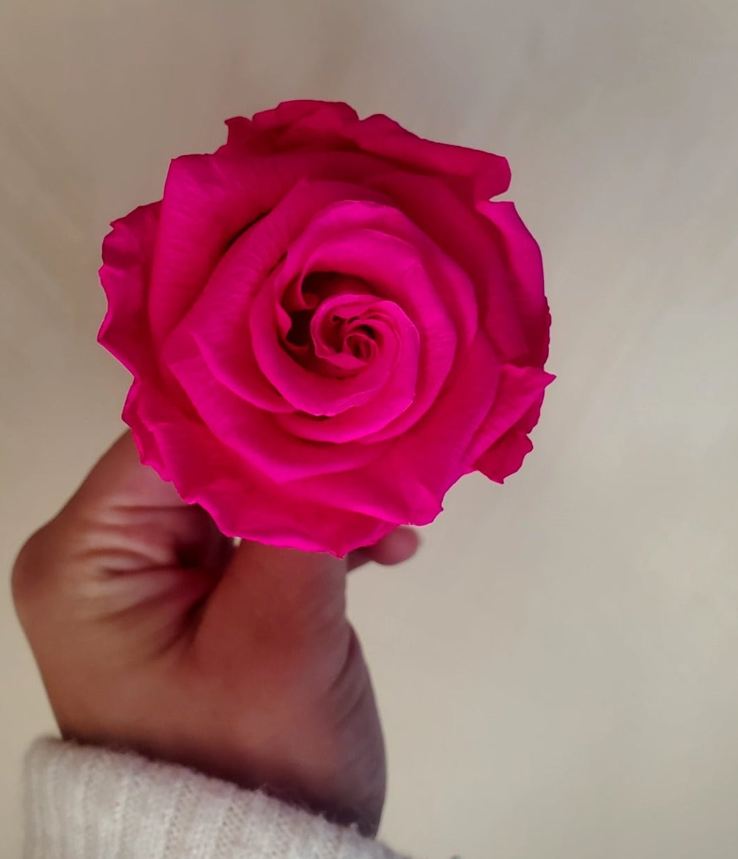 Malak – 4 Roses