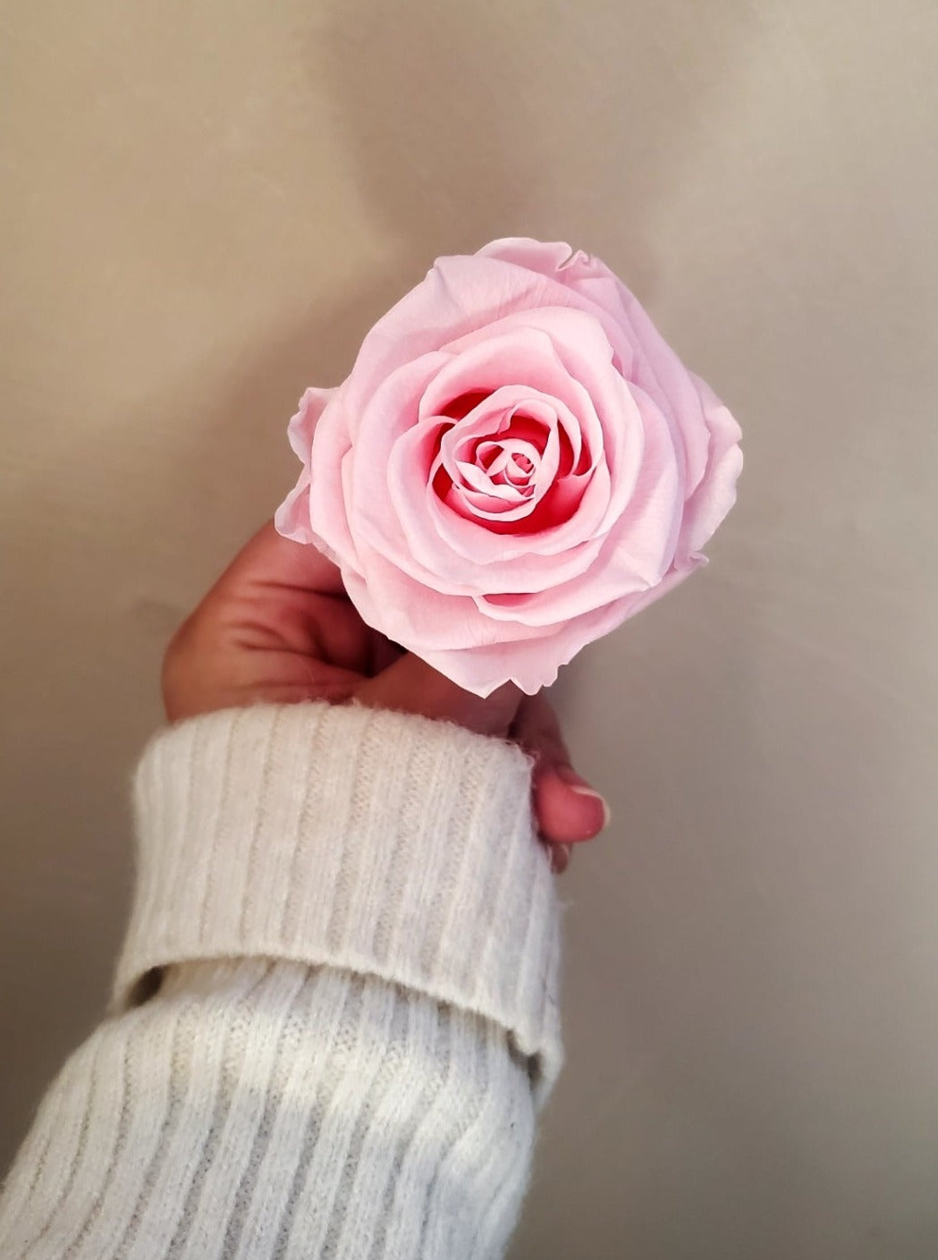 Malak – 4 Roses