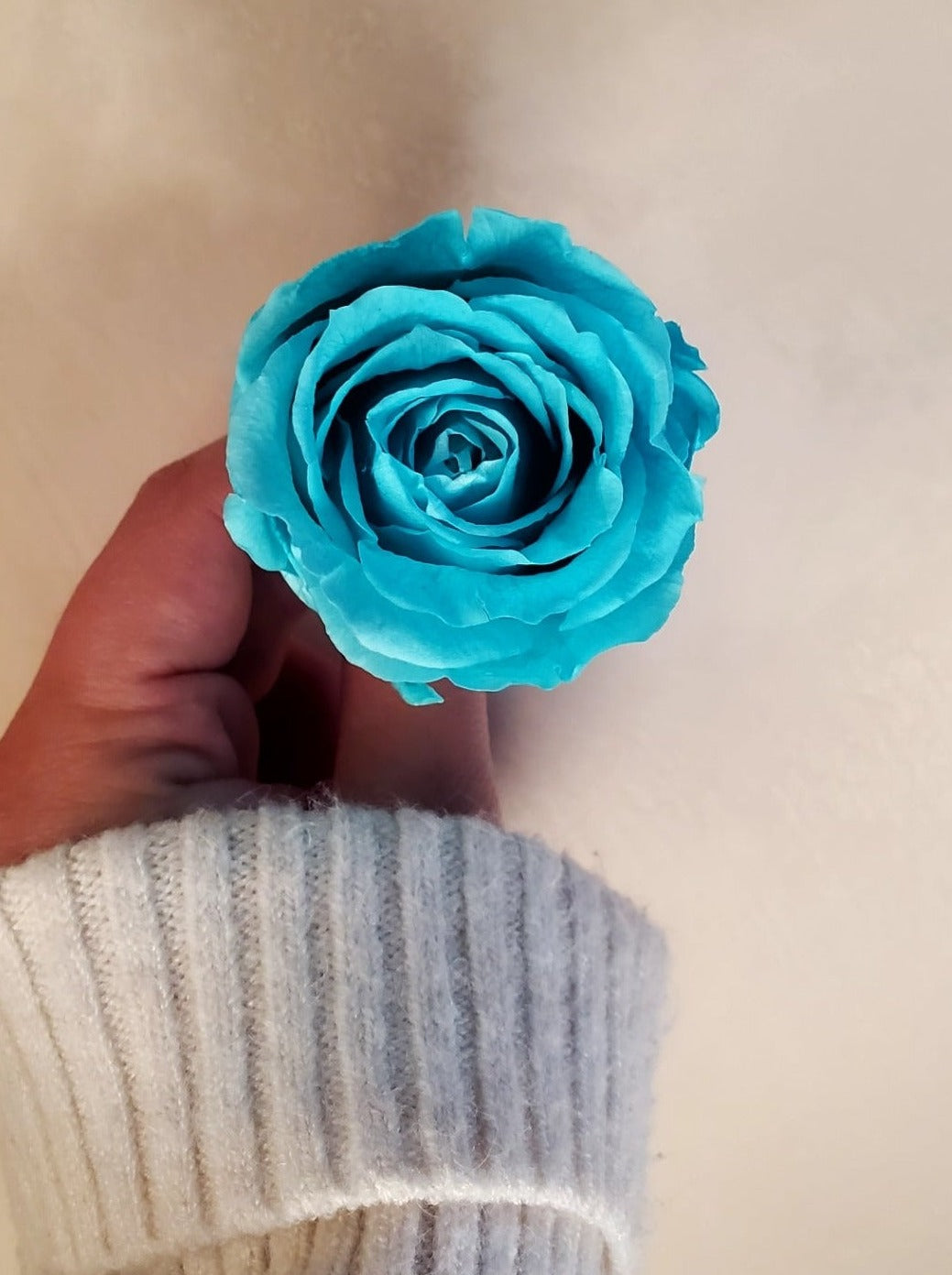 Malak – 4 Roses