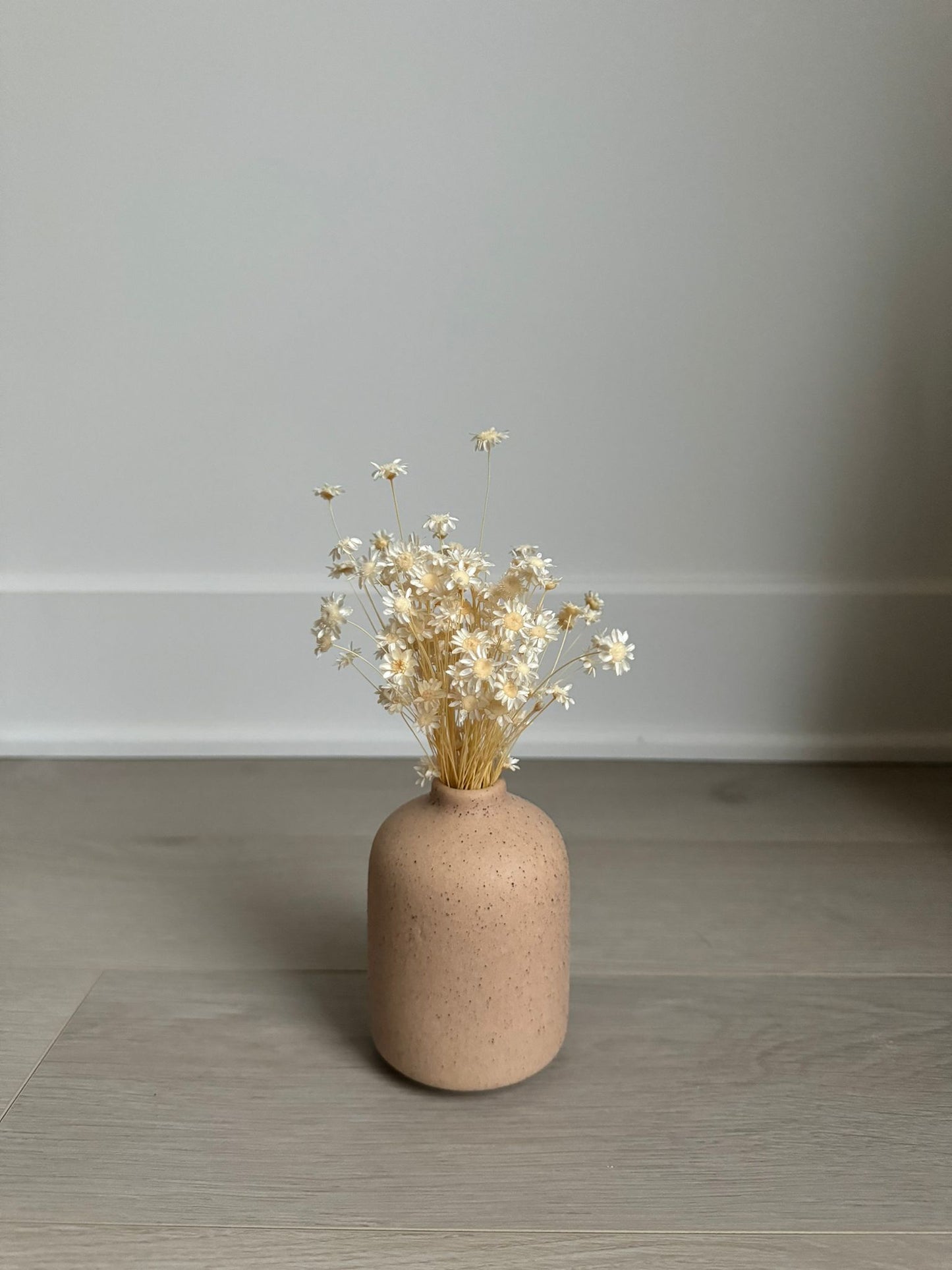 Dried Star Flower