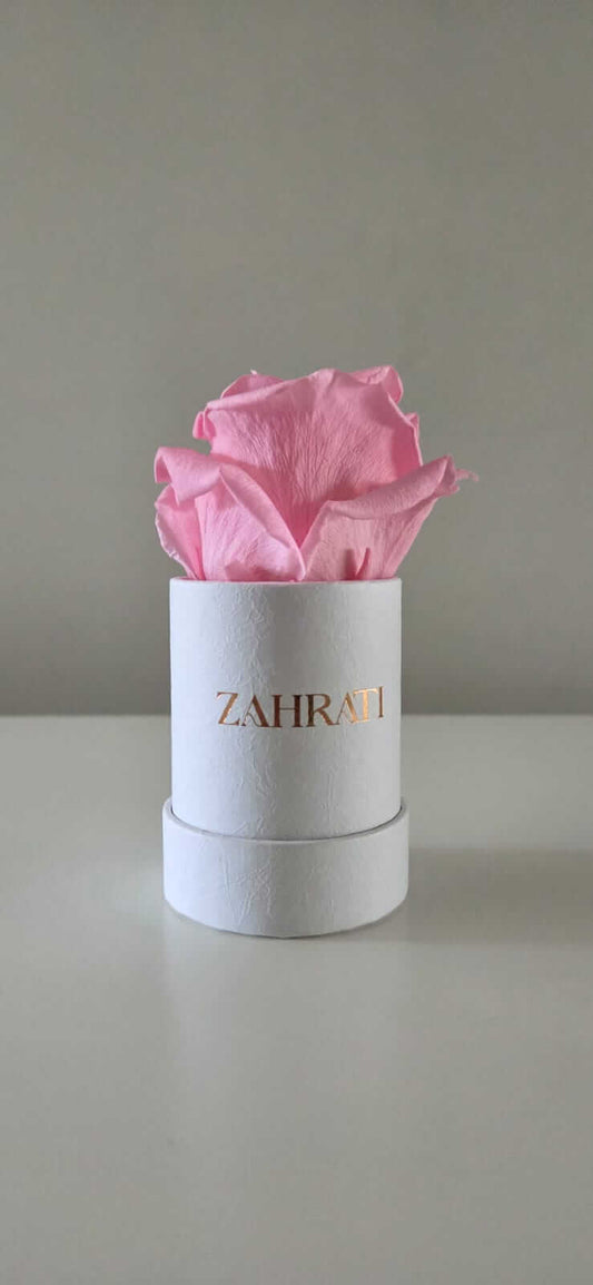 Jasmine – Eternal Rose in White Box