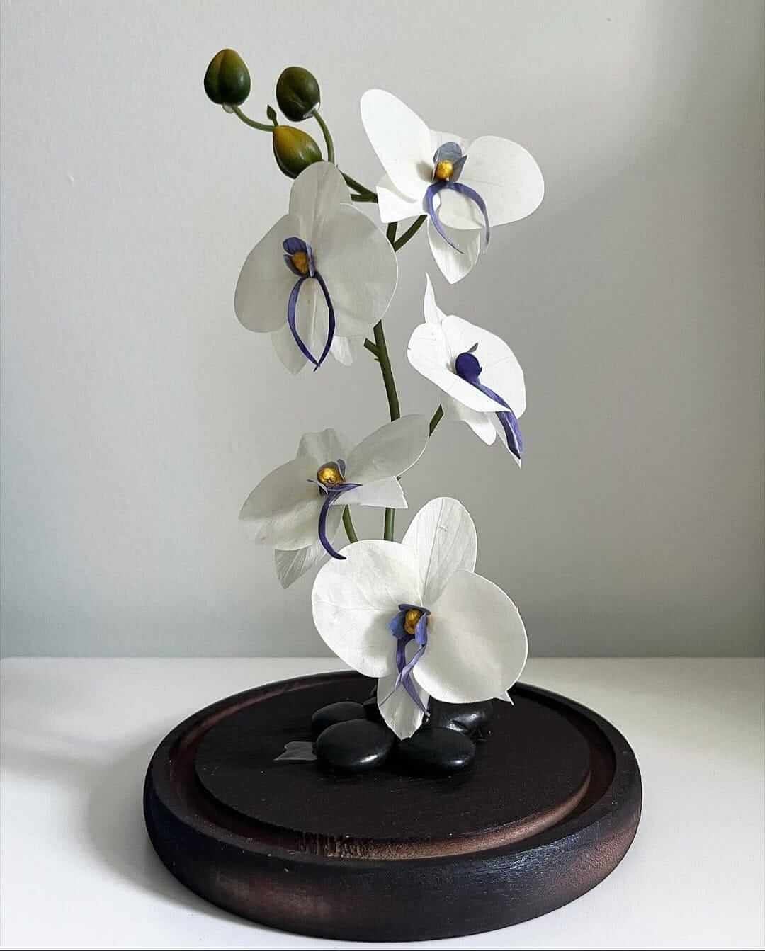 Katalyna – Luxurious Orchids Dome