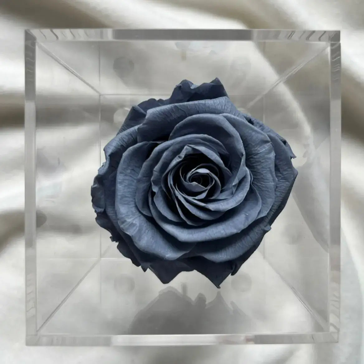 La Soltera – 1 single eternal rose