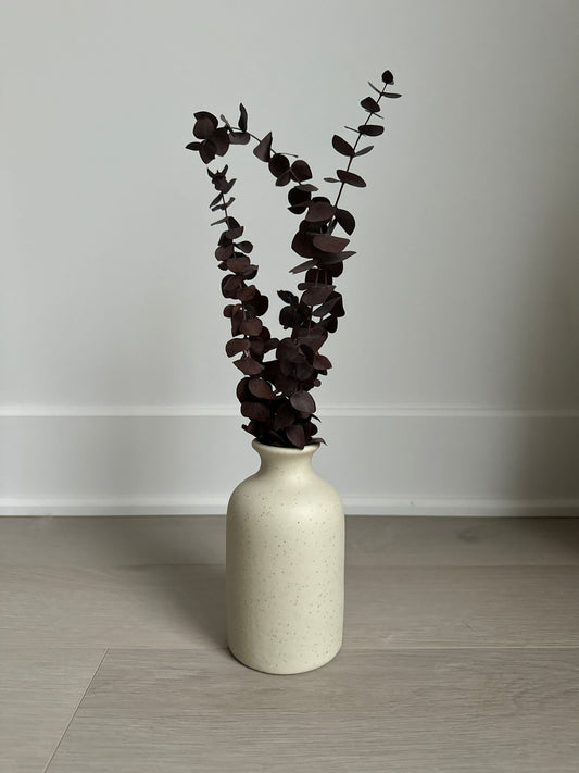 Dried Eucalyptus