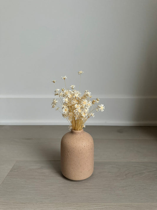 Dried Star Flower